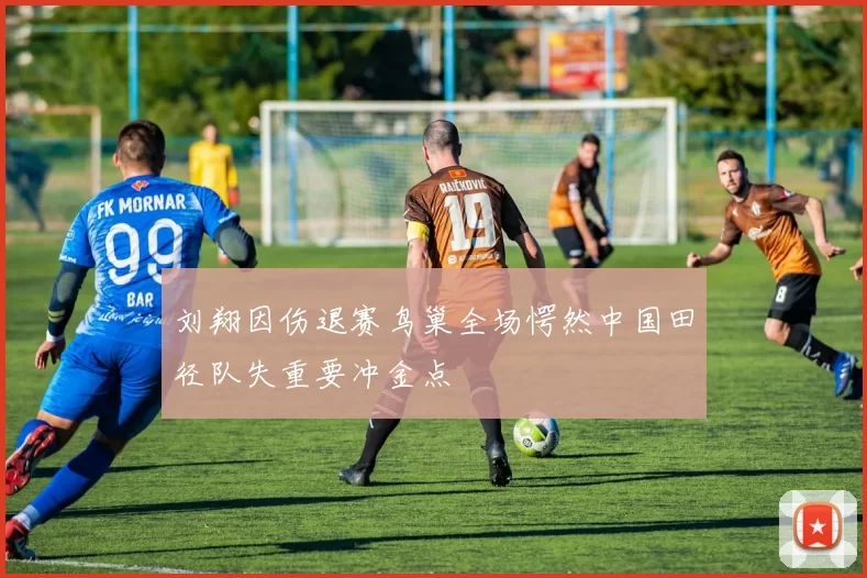 刘翔因伤退赛鸟巢全场愕然中国田径队失重要冲金点