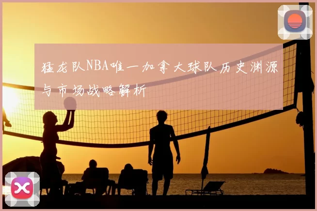 猛龙队NBA唯一加拿大球队历史渊源与市场战略解析