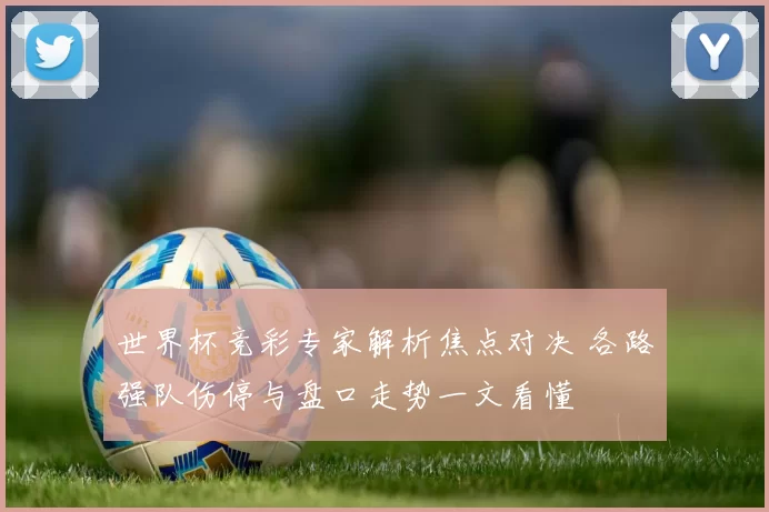 世界杯竞彩专家解析焦点对决 各路强队伤停与盘口走势一文看懂