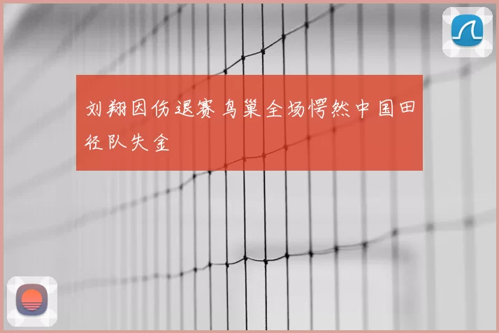 刘翔因伤退赛鸟巢全场愕然中国田径队失金