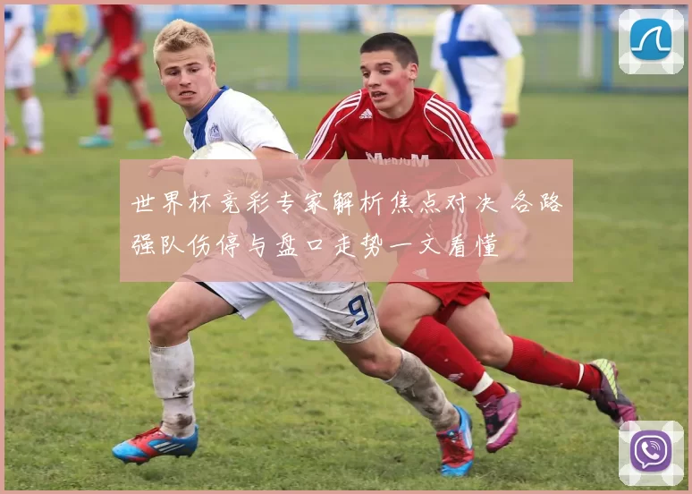 世界杯竞彩专家解析焦点对决 各路强队伤停与盘口走势一文看懂