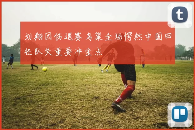 刘翔因伤退赛鸟巢全场愕然中国田径队失重要冲金点