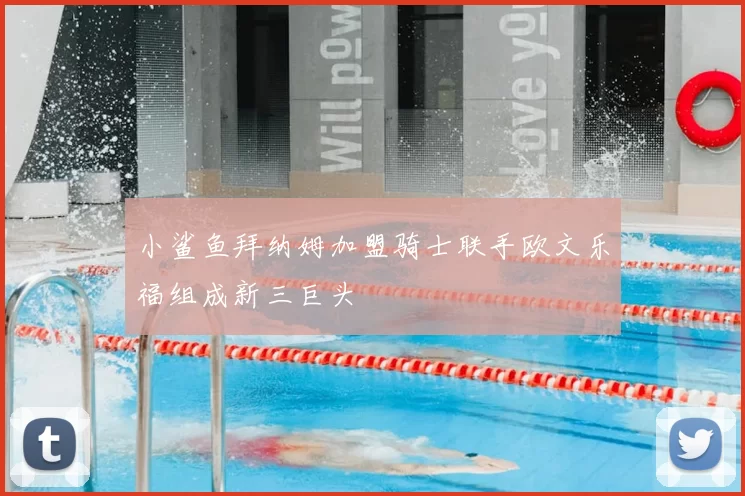 小鲨鱼拜纳姆加盟骑士联手欧文乐福组成新三巨头